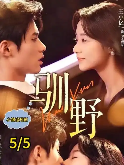 新闻女王 剧集 2023 钟澍佳